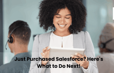 Salesforce Partner