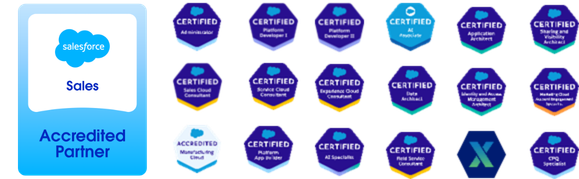 Salesforce Accredited Partner - Sales