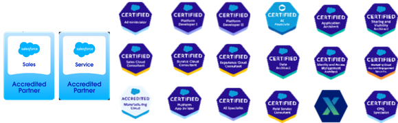 Salesforce Accredited Partner - Sales & Service