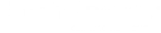 DomiKnow logo